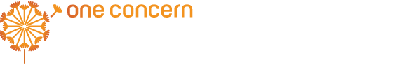 Domino AI API Logo White